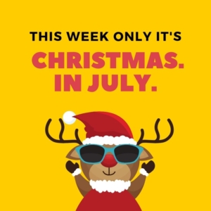 Reindeer wearing sunglasses- christmas in july special