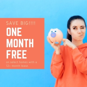 One month free special