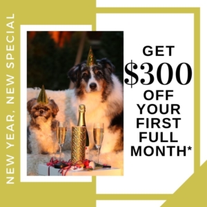 $300 off first full month