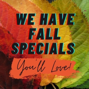 We have fall specials you'll love