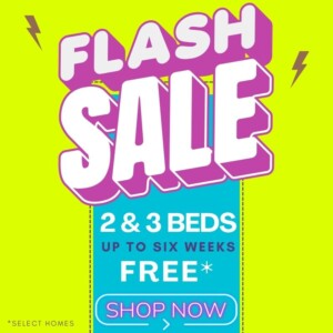 Flash Sale
