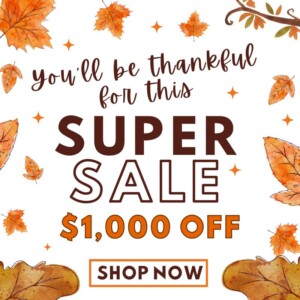 $1000 off this month