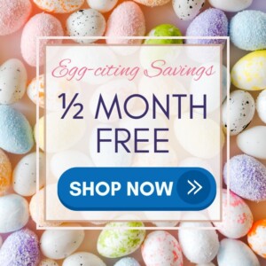 1/2 month free special
