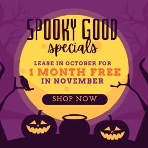 lease in October for November free